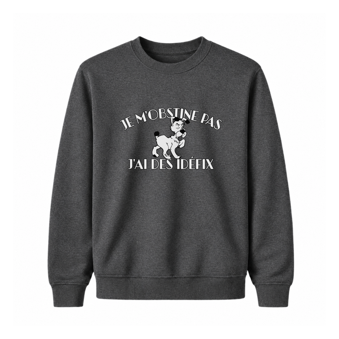 Sweatshirt Idéfix - Enfant