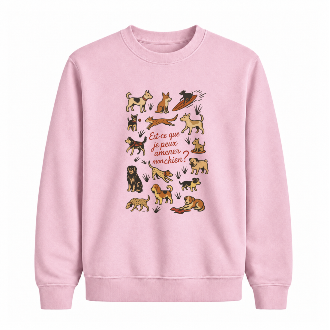 Sweatshirt Amener Mon Chien