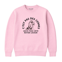 Sweatshirt Cernes Raton Laveur