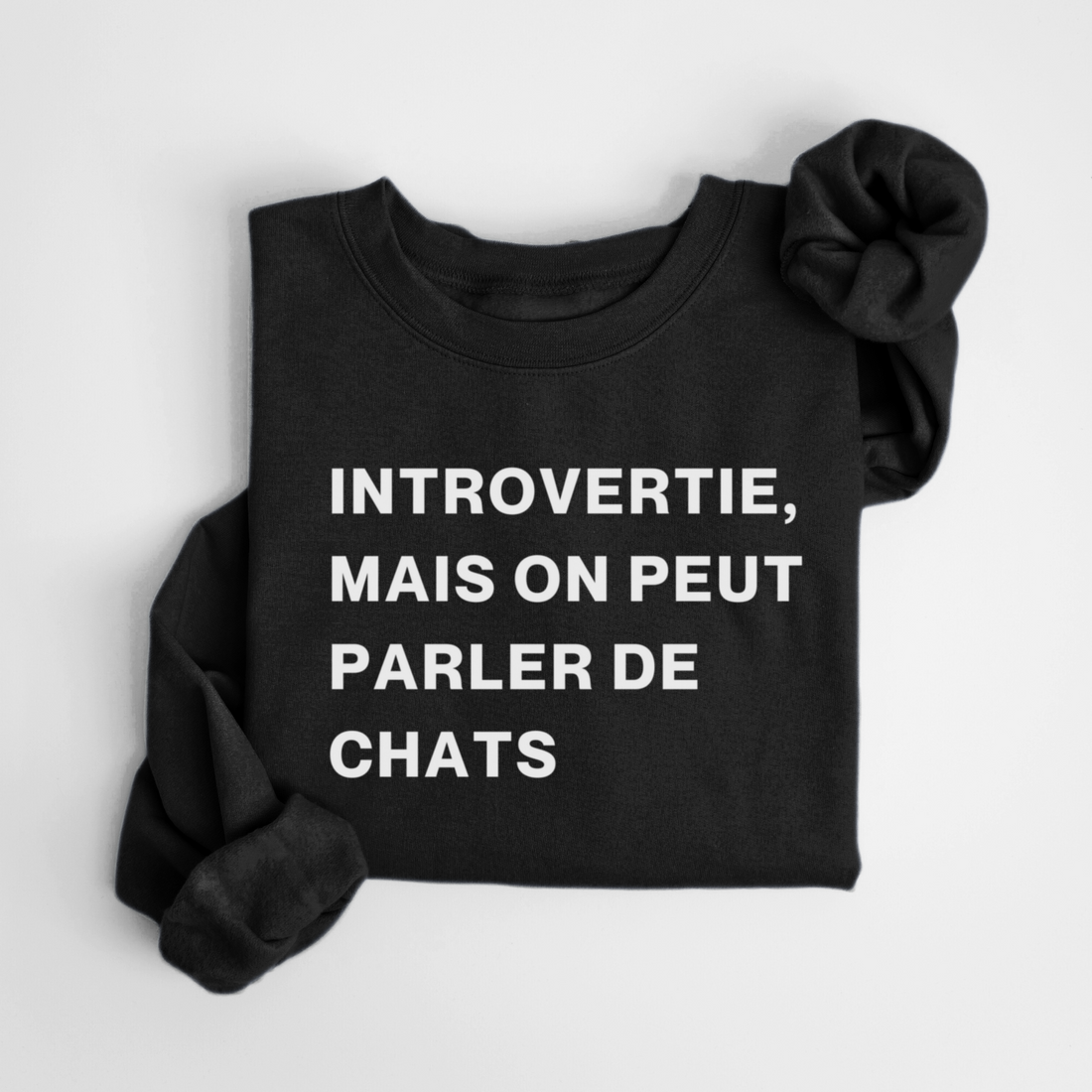 SWEATSHIRT INTROVERTIE