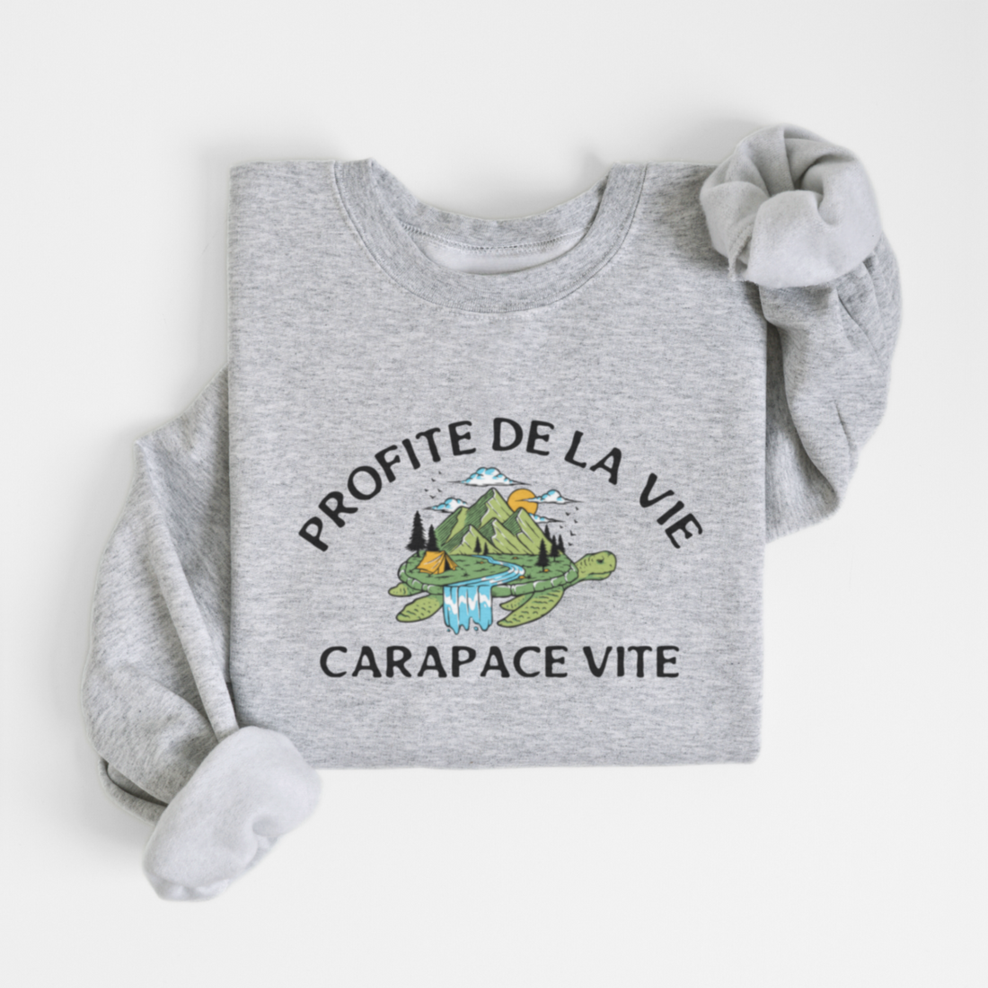 SWEATSHIRT CARAPACE - GRUAU