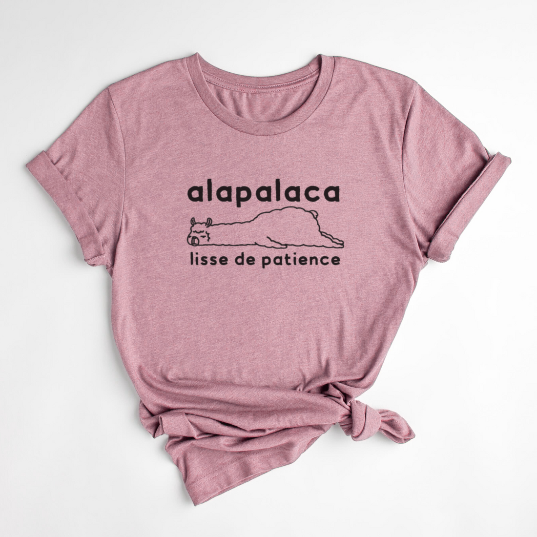 T-SHIRT ALPACA - SORBET