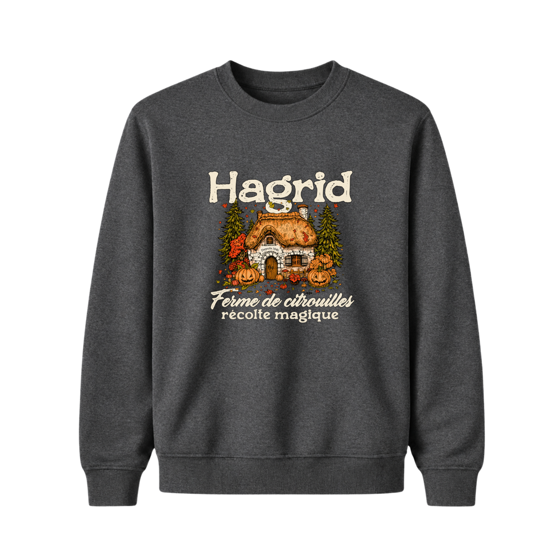 Sweatshirt Hagrid - Enfant