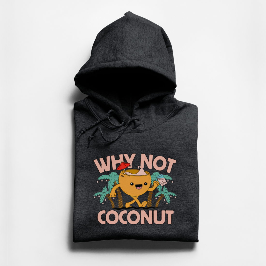 HOODIE WHY NOT COCONUT - CHARBON