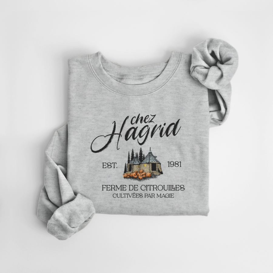 SWEATSHIRT HAGRID - ENFANT