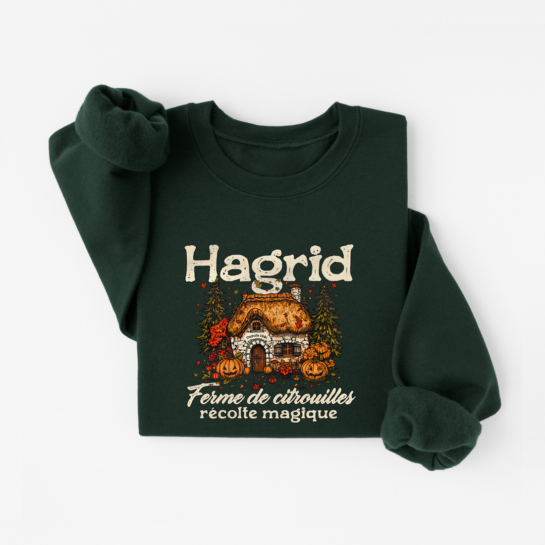 Sweatshirt Hagrid - Enfant