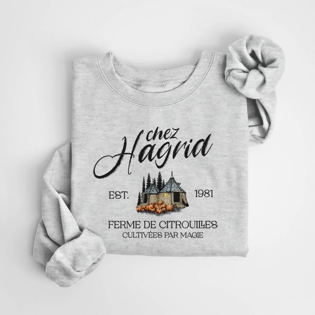 SWEATSHIRT HAGRID - GRUAU