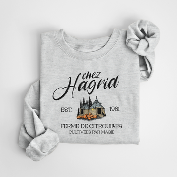 SWEATSHIRT HAGRID - GRUAU