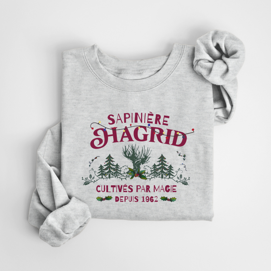 SWEATSHIRT HAGRID NOËL - GRUAU