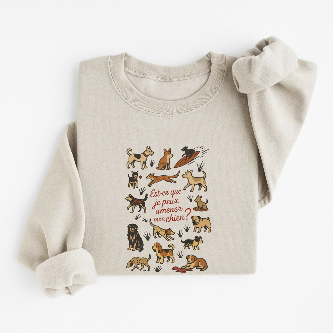 Sweatshirt Amener Mon Chien