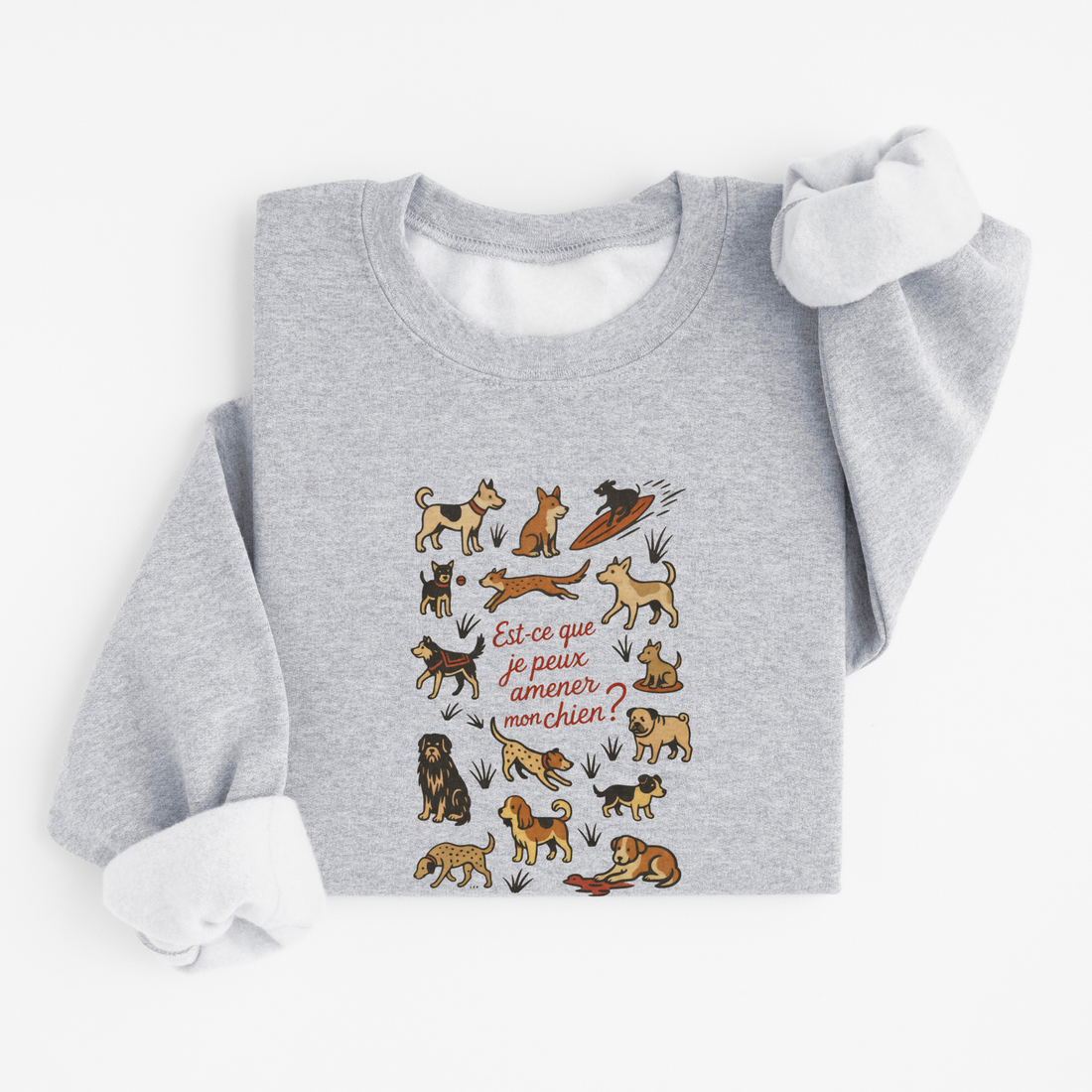Sweatshirt Amener Mon Chien