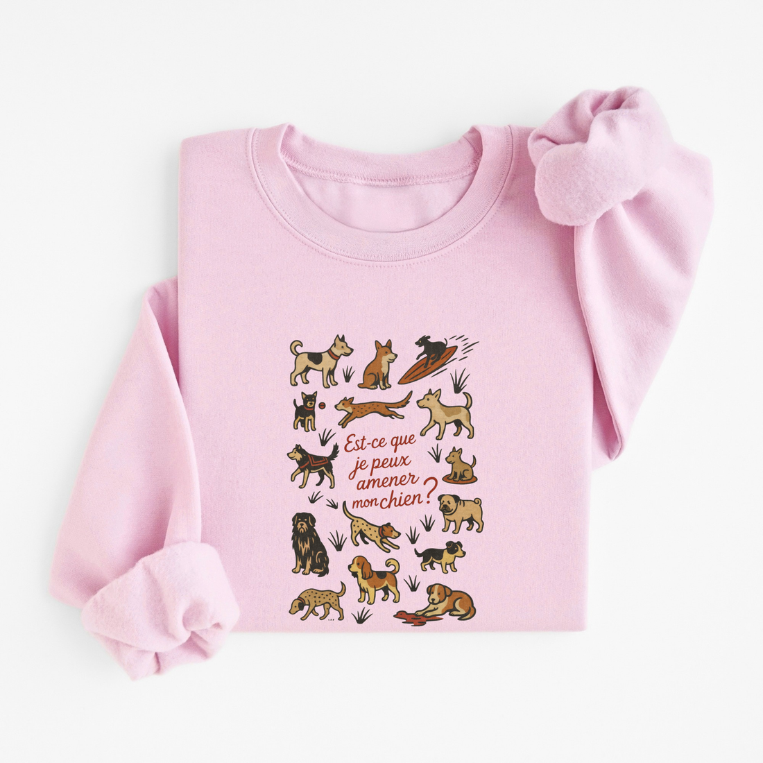 Sweatshirt Amener Mon Chien