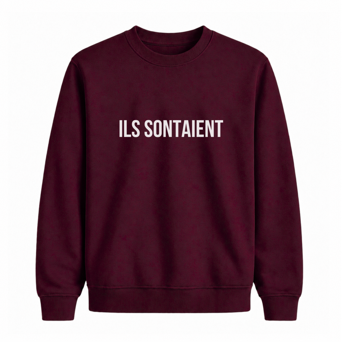 Sweatshirt Ils Sontaient