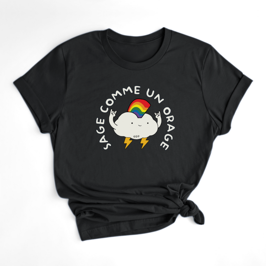T-SHIRT SAGE COMME UN ORAGE