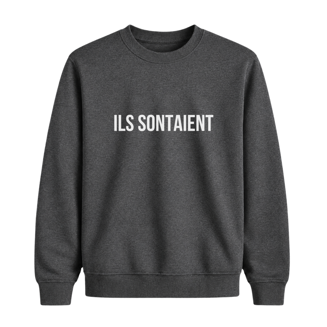 Sweatshirt Ils Sontaient