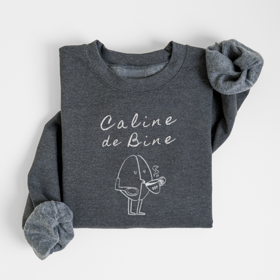 SWEATSHIRT CALINE DE BINE - CHARBON